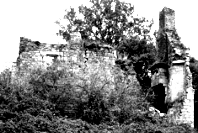 Ruines du chteau de Tregot  Le Cours (Bretagne).