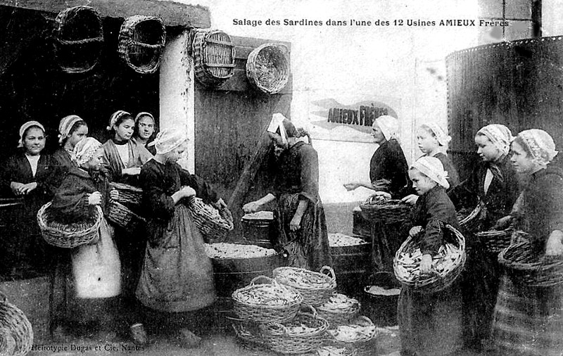 Salage des sardines  Etel (Bretagne).