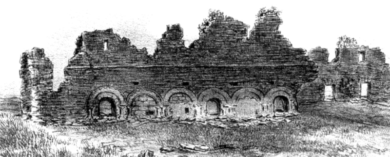 Ruines de l'abbaye de Chaume  Machecoul.