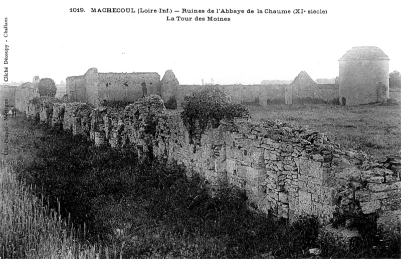 Ruines de l'abbaye de Chaume  Machecoul. 