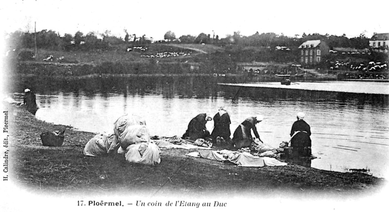 Plormel : l'Etang-au-Duc (Bretagne).