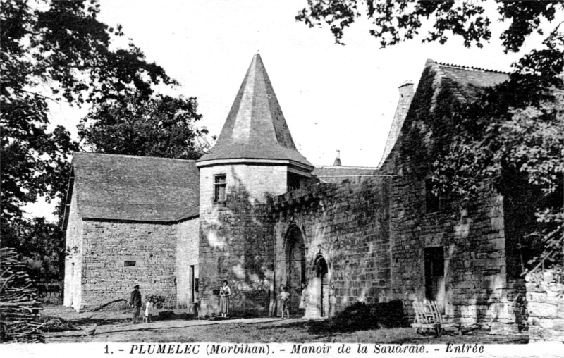 Chteau de Plumelec (Bretagne).
