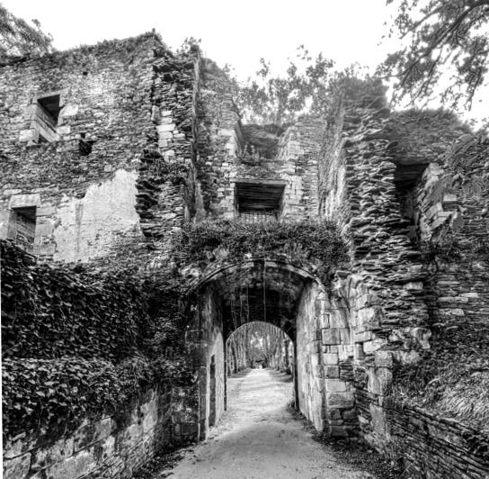 Les ruines du chteau de Rieux (Bretagne).