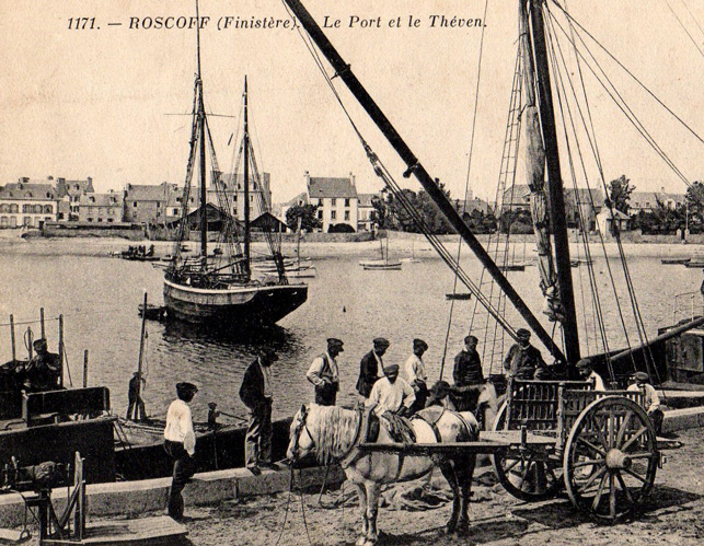 Port de Roscoff (Bretagne)