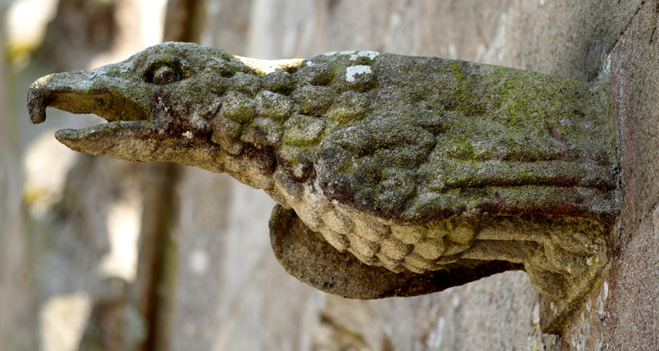 Gargouille de l'glise Notre-Dame de Runan (Bretagne)