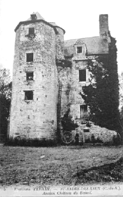 Saint-Andr-des-Eaux (Bretagne - Ctes d'Armor) : les ruines du chteau de Besso.