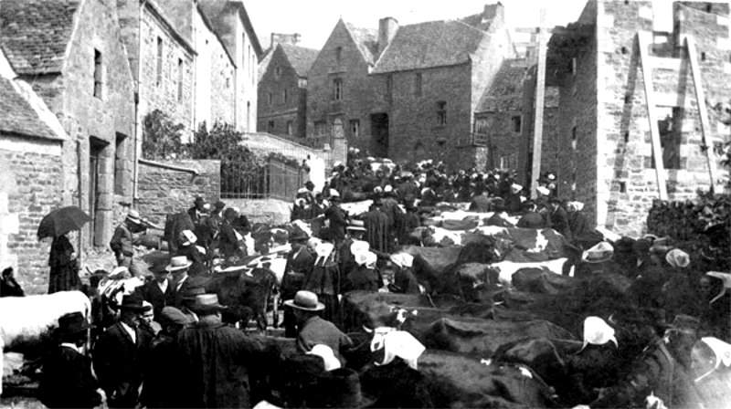 Le march des chevaux  Saint-Michel-en-Grve.