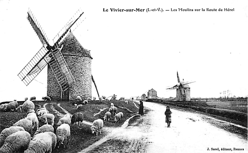 Moulins du Vivier-sur-Mer (Bretagne).